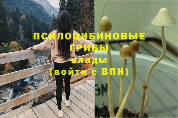 СК Балахна