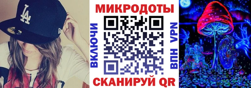 закладки  Городище  hydra ONION  Псилоцибиновые грибы мицелий 